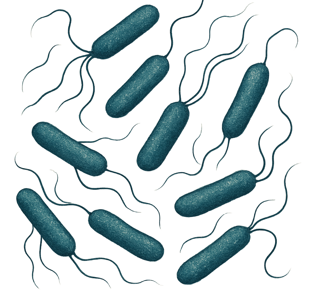 2YT Autoinducible Growth Medium w/o Trace Elements