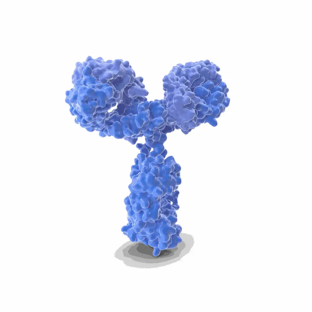 Gentaur Pab2627 Polyclonal Antibody